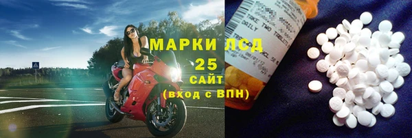 ПСИЛОЦИБИНОВЫЕ ГРИБЫ Абаза