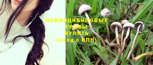 индика Семикаракорск