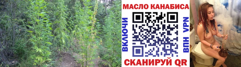 Дистиллят ТГК Wax  Каргополь 