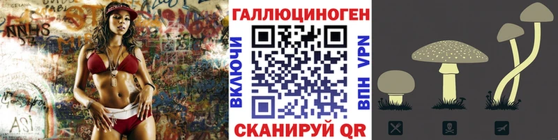 наркошоп  OMG ONION  Псилоцибиновые грибы мухоморы  Каргополь 